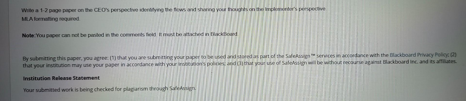 Write a 1-2 page paper on the CEO's perspective