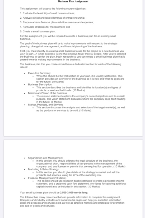 Business Plan Assignment This assignment will