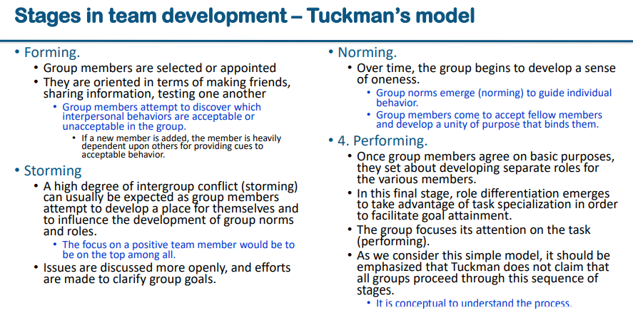 What are the team development stages that members