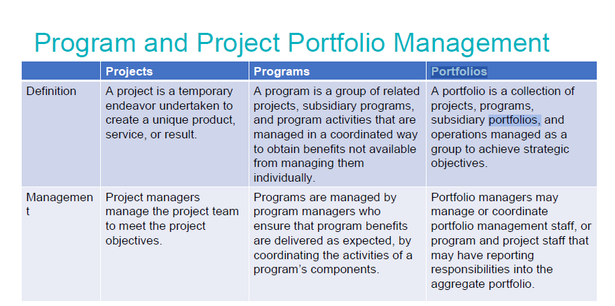 Program and Project Portfolio Management Projects