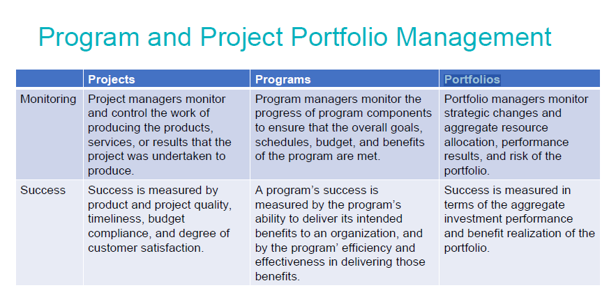 Program and Project Portfolio Management Projects