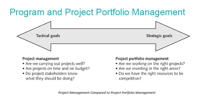 Program and Project Portfolio Management Projects