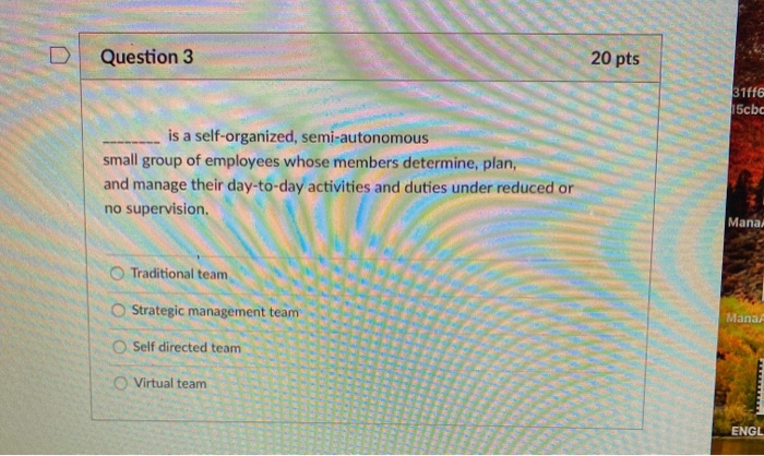 Question 1 20 pts summarizes the personal