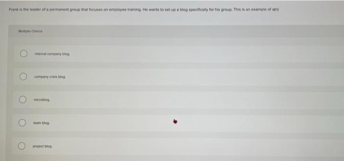 Frank is the leader of a permanent group that