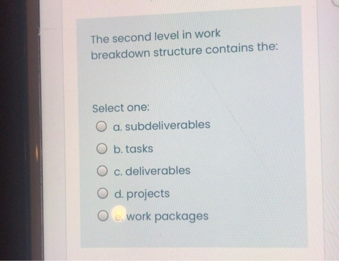 The second level in work breakdown structure