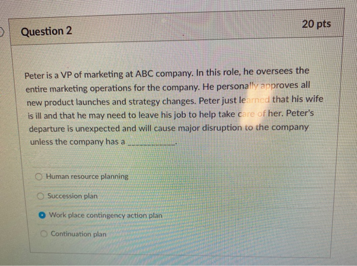 20 pts Question 2 Peter is a VP of marketing at