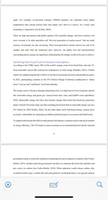 Analyze this term report based on these