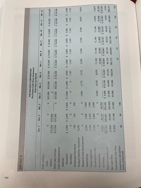 Rug Bug Corporation- Case study What is the