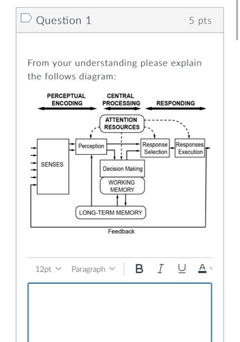 Hello please can you solve those questions i have