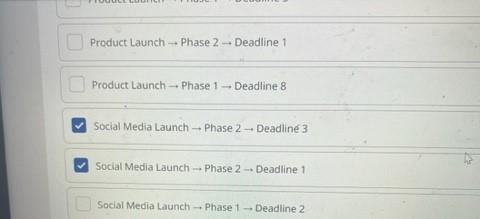 Which ones will appear last? ort projects