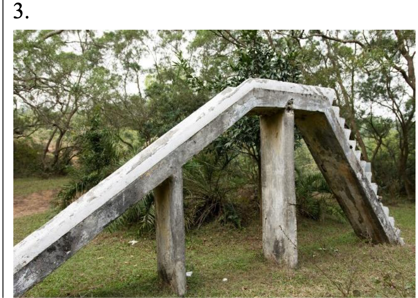 Question 1 (50 marks) Since the early twentieth