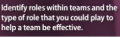 Identify roles within teams and the type of role