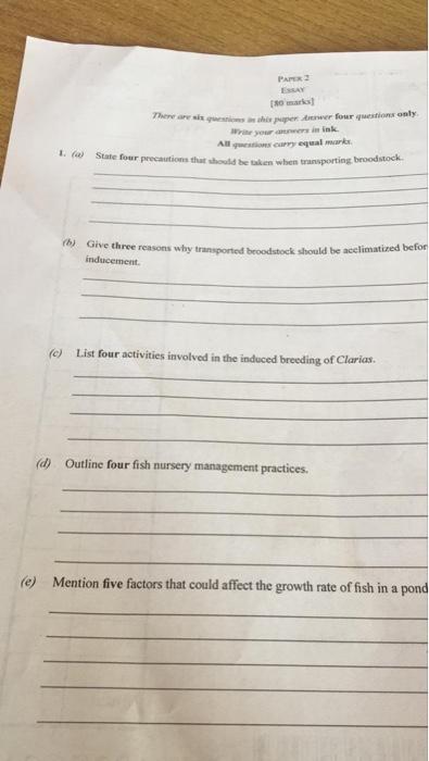 PE EY Thomas There are si que hi paper tower four