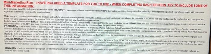Mini-Marketing Plan - I HAVE INCLUDED A TEMPLATE