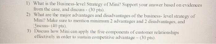 1) What is the Business-level Strategy of Mini?