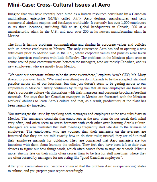 Mini-Case: Cross-Cultural Issues at Aero Imagine