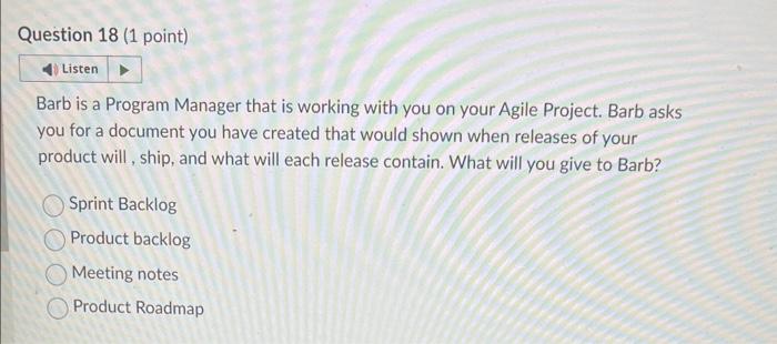 agile Barb is a Program Manager that is working