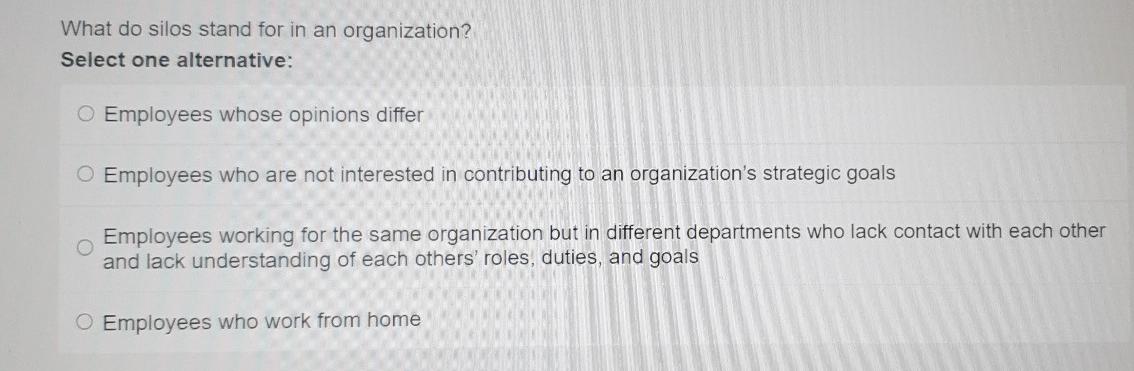 What do silos stand for in an organization?
