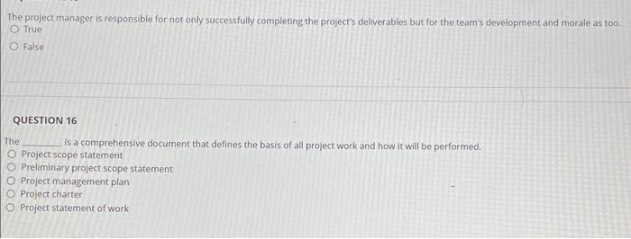The project manager is responsible for not only