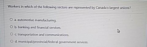 Workers in which of the following sectors are