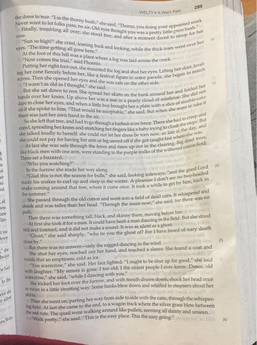 make a generalization or claim about some aspect