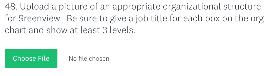 48. Upload a picture of an appropriate