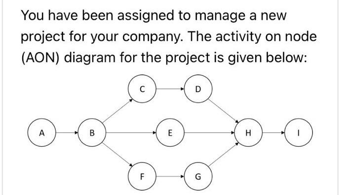 You have been assigned to manage a new project