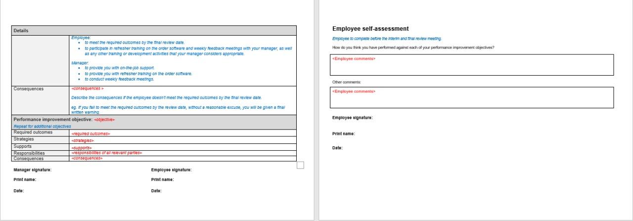PERFORMANCE IMPROVEMENT PLAN Details - Details