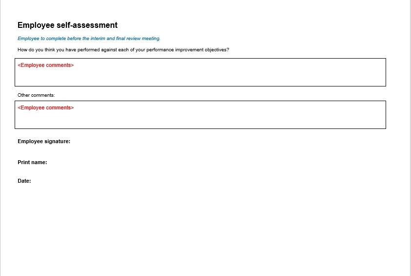 PERFORMANCE IMPROVEMENT PLAN Details - Details