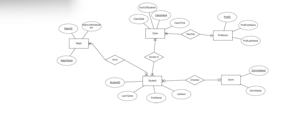 Examine the Relational Schema that was created