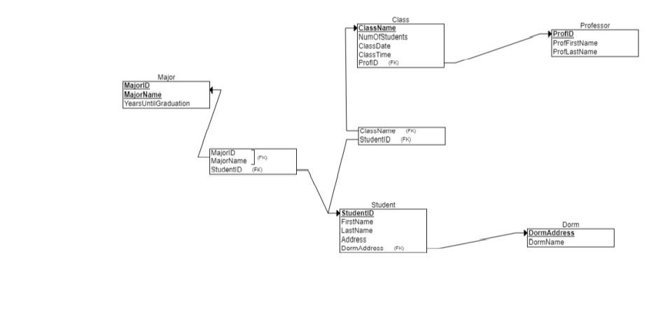 Examine the Relational Schema that was created