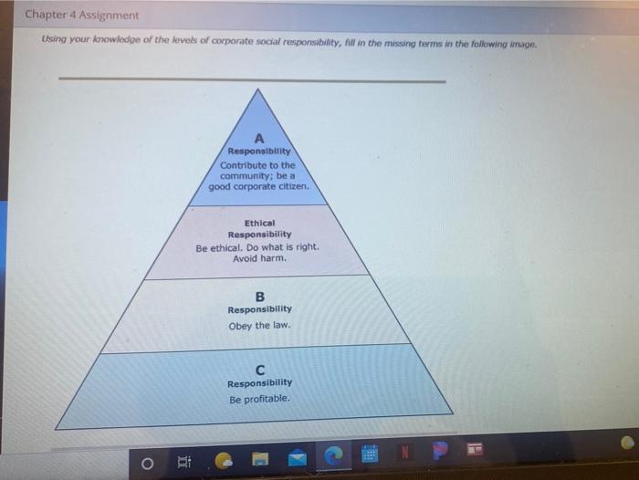 can you answer these questions please Chapter 4