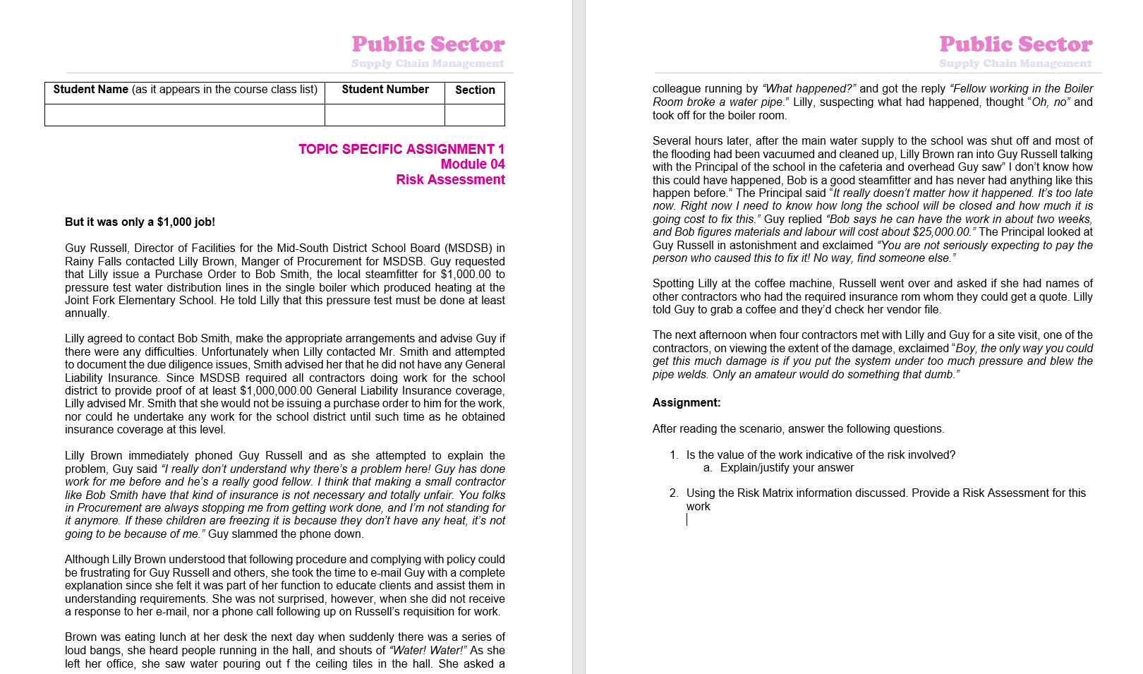 INFO FOR THE ASSIGNMENT: INFO FOR THE ASSIGNMENT: