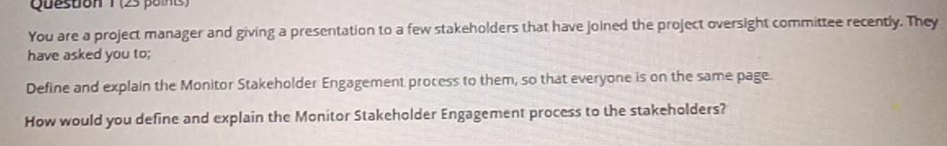 You are a project manager and giving a