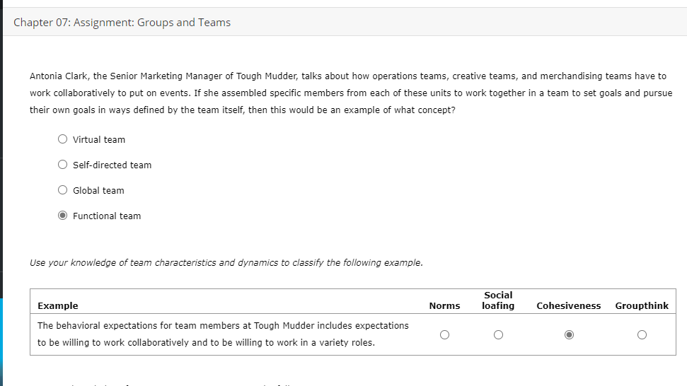 Chapter 07: Assignment: Groups and Teams Antonia
