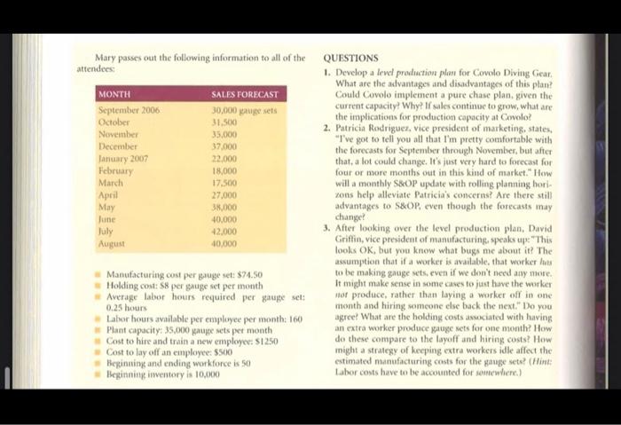 After looking over the level production plan,