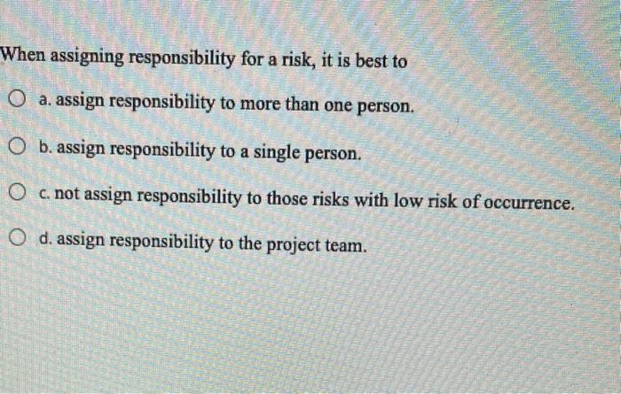 When assigning responsibility for a risk, it is
