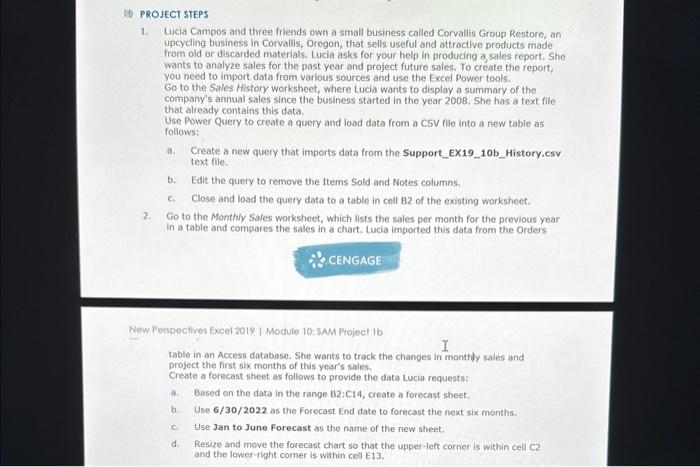 (1) PROJECT STEPS 1. Lucia Campos and three