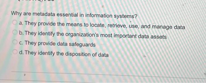 Why are metadata essential in information