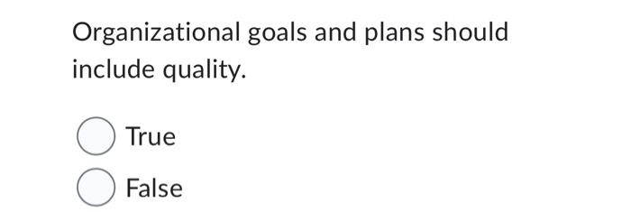 Organizational goals and plans should include