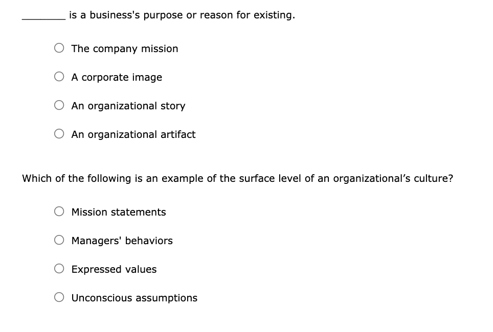 is a business's purpose or reason for existing. O