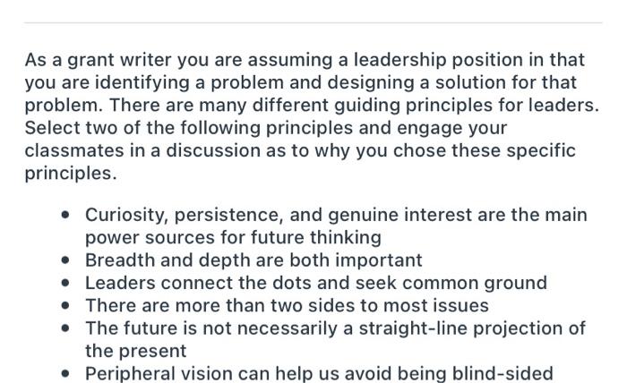 As a grant writer you are assuming a leadership