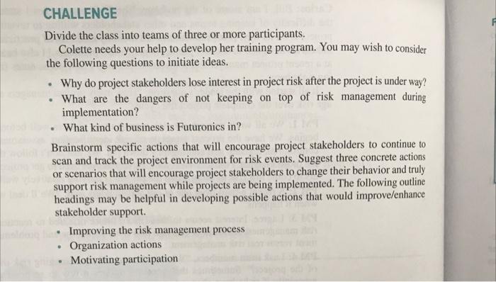 Sustaining Project Risk Management during