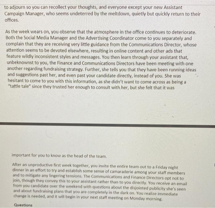 You have just been named as the campaign manager