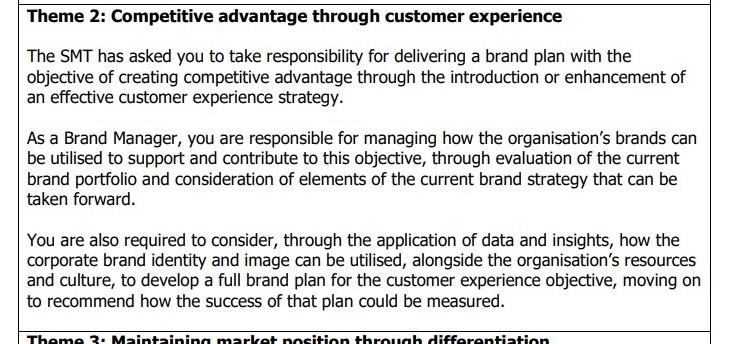Theme 2: Competitive advantage through customer