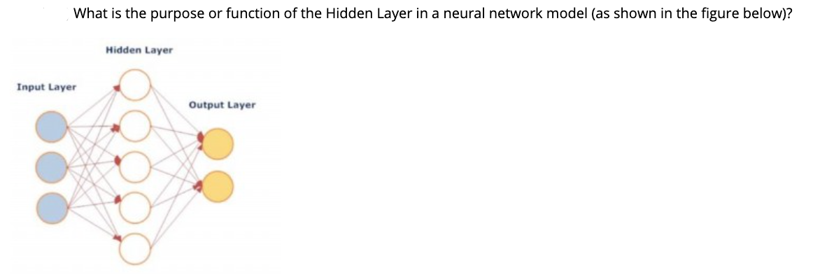 What is the purpose or function of the Hidden