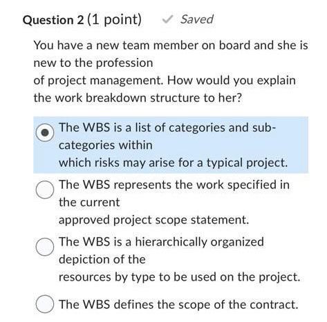 Outputs of the WBS process include: