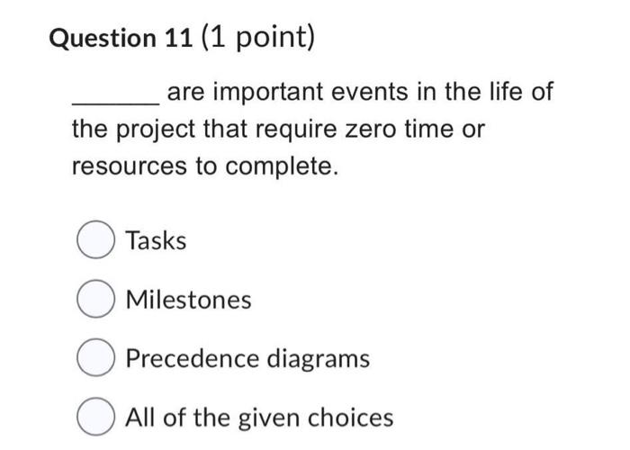 are important events in the life of the project