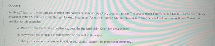 A driver, Trista, ran a stop sign and crashed