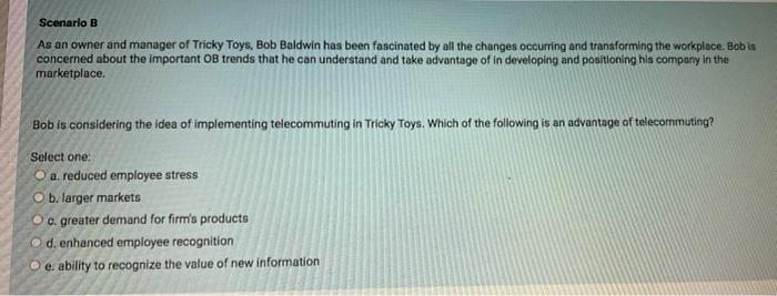 Scenario B As an owner and manager of Tricky